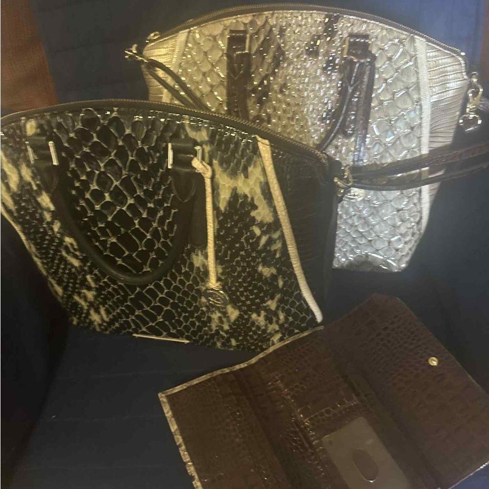 Brahmin stone Carlisle vintage Duxbury set Elegant VGUC Snake Print Handbag